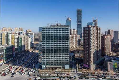 梁溪区盆栽绿植零售公司