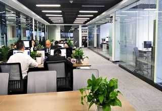 曲靖碱保欢迎选购