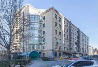 坪山区哪些输送带认真负责